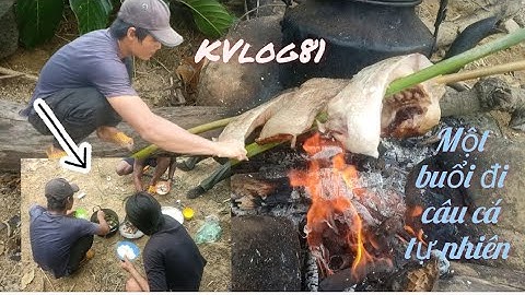 Mê câu cá [phần 03] KVlog81 [Câu cá tự nhiên]