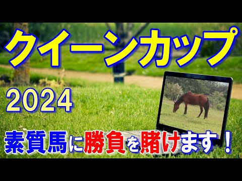 クイーンカップ２０２４【予想】先物買いで１戦１勝馬に賭けます！！