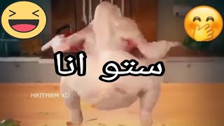 رقص فرخة على اغنية ستو انا هتضحك حتى البكاء