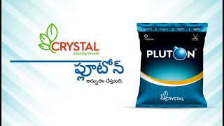 Pluton - A broad spectrum fungicide - Telugu DH