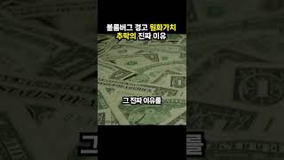 블룸버그 경고 원화가치 추락의 진짜 이유 (이슈딸깍)