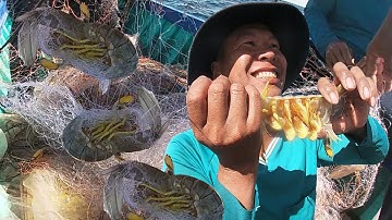 Một ngày trên biển - 1 Con Tôm Tích Bán Được 250k | Câu Mực Biển Tây #195