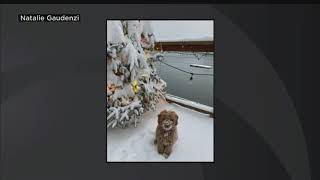 exported AIRCHECK WBZ 430 7AM 20201218 04 42 10 065