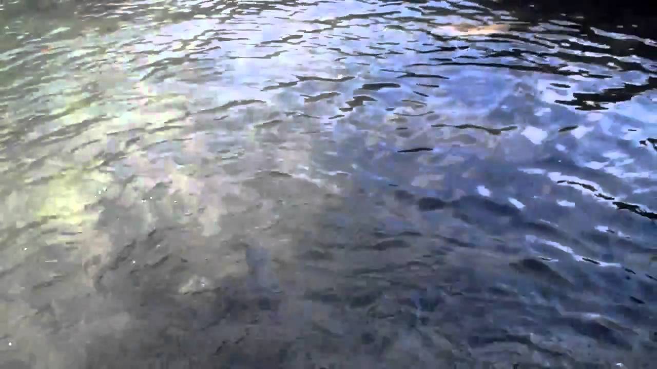 Nik on Idrijca river