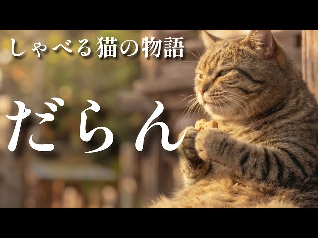 Talking Cat Sora [The cat who kept waiting for someone] - YouTube