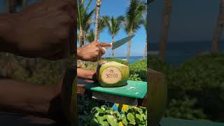 #nihi #sumba #indonesia #beautifulhotels #luxuryresort #coconut #hotelsandresorts #tropical