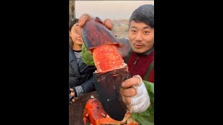 ăn hải sản tôm hùm khổng lồ cùng gái xinh trung quốc phần 10 | mukbang eating show #shorts
