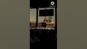 قال اني عبدالله . آيات كريمة من سورة مريم🥀 الشيخ محمد عبدالهادي توري