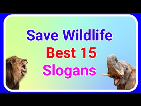 Wildlife Day slogans in english !! Wildlife conservation Slogans!! Ashwin's World