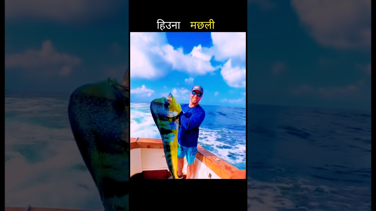 हिउना मछली 😱 #aivideo #fishing #fascinatinginformation #facts #amazingfacts #youtubeshorts