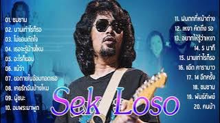 รวมเพลงฮตรอยยมนกส เสก โลโซ  เราและนาย ใจสงมา อะไรกยอม คนจนทร