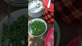Makan Siang Bersama Di Kebun