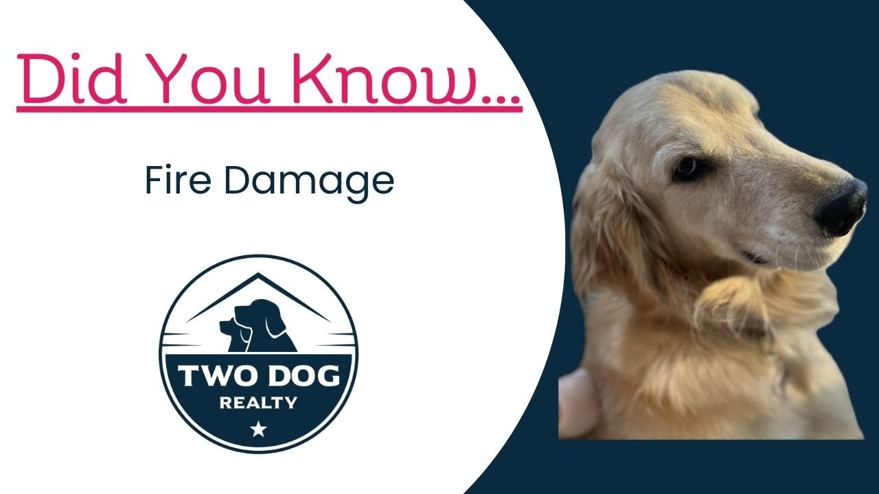 Golden retriever beside Fire Damage graphic for Richmond, Virginia homeowners.