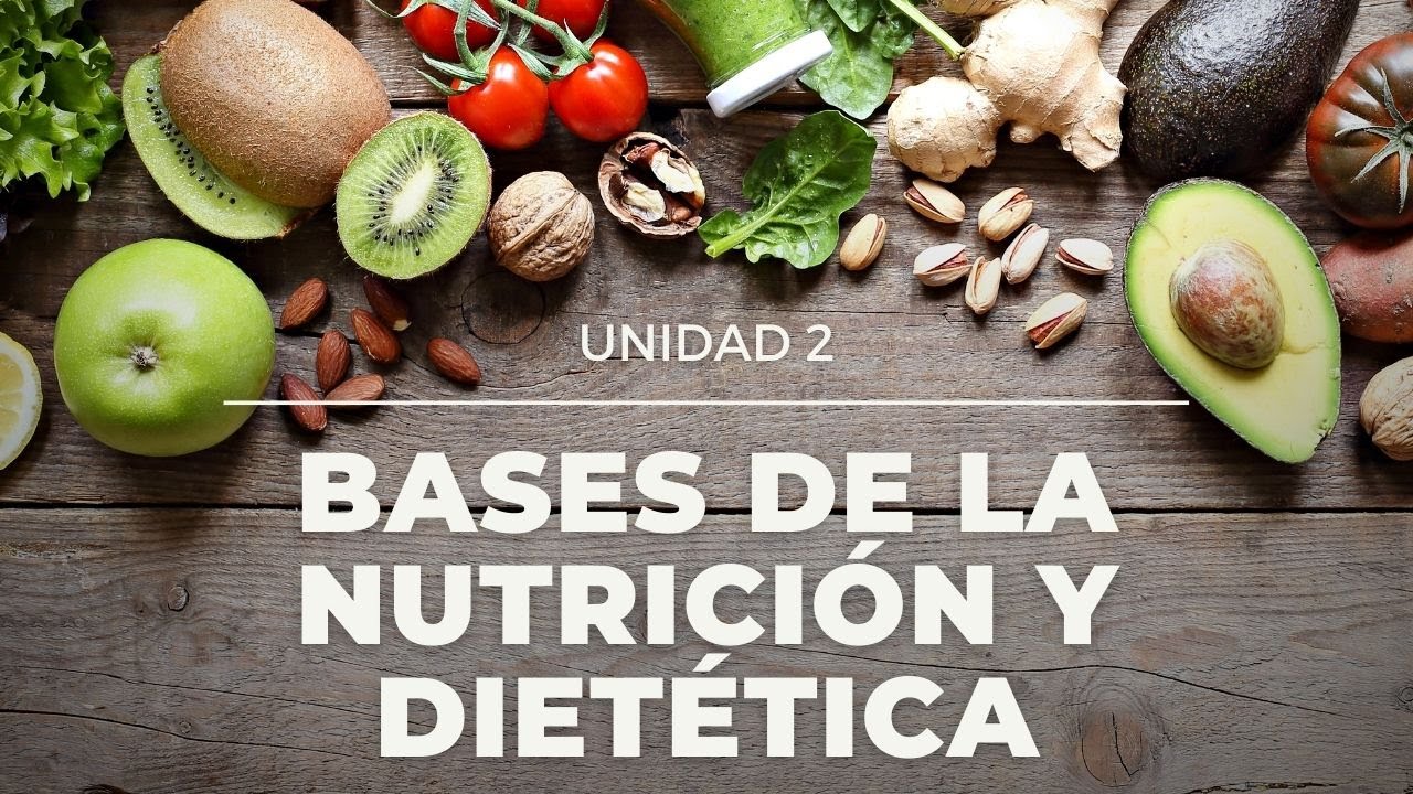 Bases de la nutrición y dietética YouTube Bases de la nutrición y dietética YouTube