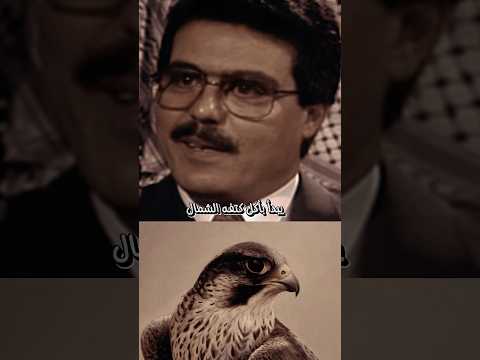 صقر الجبل روحي الصفدي Youtubeshorts اكسبلور اكسبلور Fyp Explore السعودية خواطر