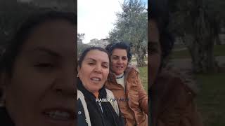 Gurbetteki Sivas Ezgileri Viral Oldu