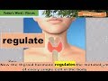 第39期 | REGULATE - 调节 |  REGULATE METABOLISM 调节新陈代谢 | 医学英语词汇系列  #1 | Hannah&#39;s 医学英语