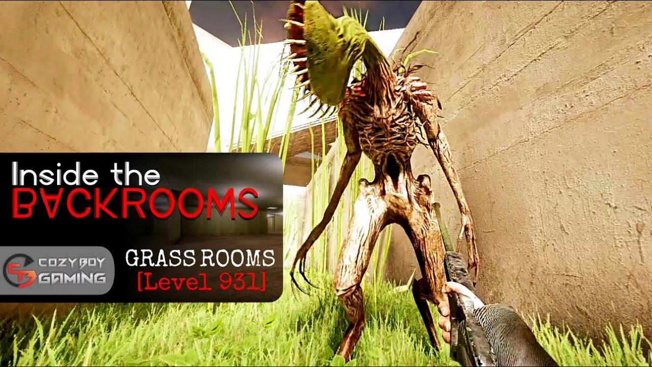 Grassrooms, Inside the Backrooms Wiki