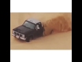 تريحو يا هل الشاصات ودي بجمس يسريني