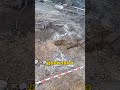 Репортаж от Палыча #ритмстрой #современныйдом #фундамент #цокольныйэтаж