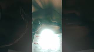 night study 😚✍️🚩👀.#viral#tranding#video