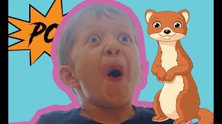 Video thumbnail of "Pop Goes The Weasel! | Kindergarten Education Songs | Kids Songs Songs For Kids  | Nursery Rhymes"