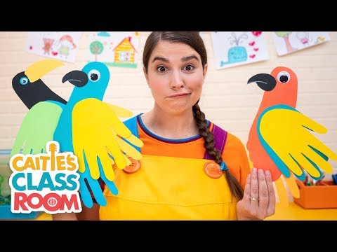 Birds! - Caitie's Classroom Live