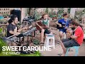 Sweet Caroline Cover by THE FARMER BAND