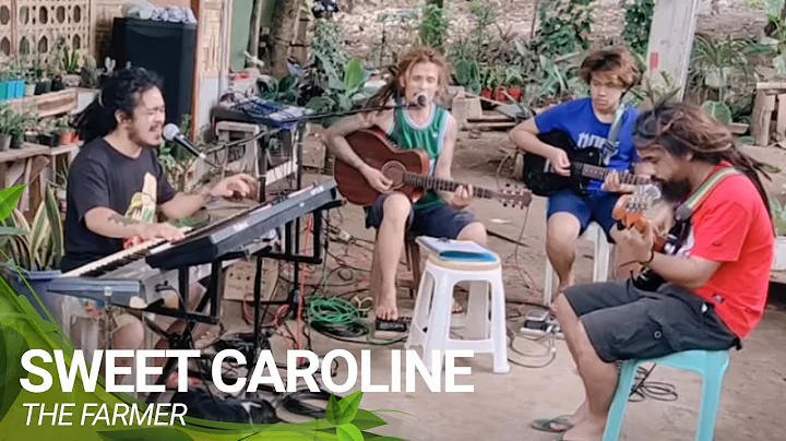 Sweet Caroline Cover by THE FARMER BAND