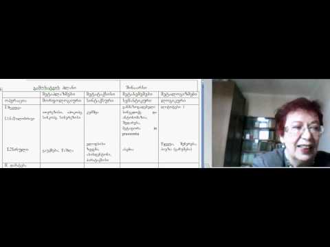 მეტაფოროლოგია.2(3).avi