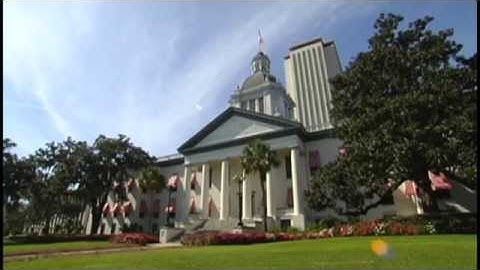 Special Session Preview