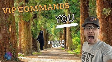 2023 Mixitup Bot  Tutorial- VIP Commands