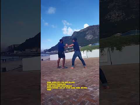 Tai Chi Guy