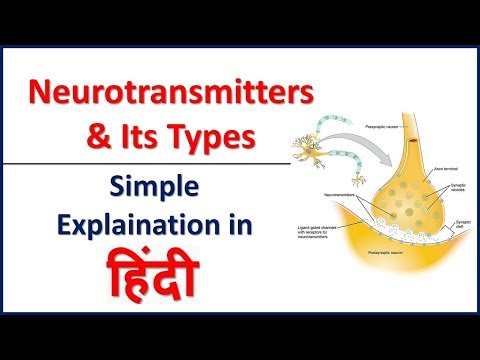 Neurotransmitter and Its Types Simple explaination in hindi | Bhushan Science