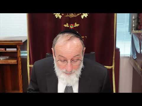 Amud Yomi Masechet Pesachim Daf 23B