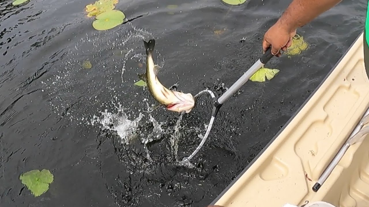 Pelican Bass Raider 10e: Bass Fishing on Private Lake…Part 2