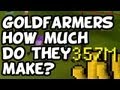 RuneScape 2007 GoldFarming - How Much Do They Make?