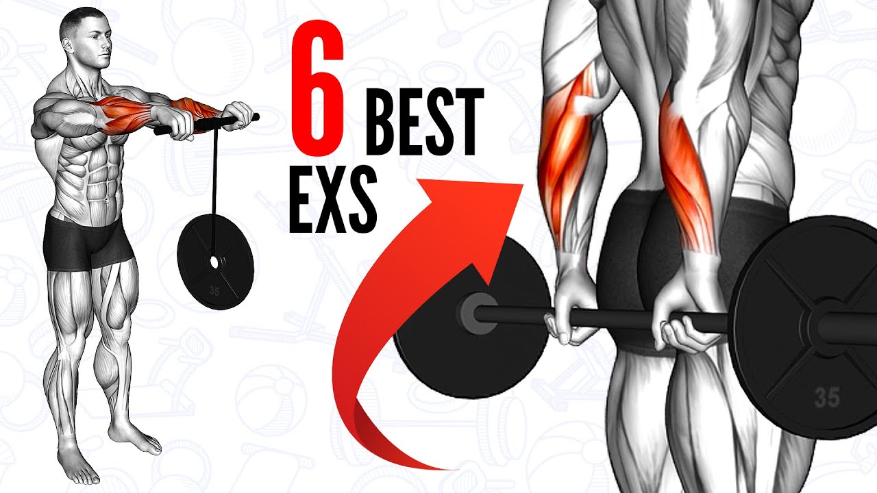 6 Best Exercises for Bigger Forearms and Wrist Workout YouTube