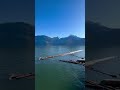 🏝️ Pitt Lake Buyer Property Tour 🏝️#paradise #pittlake #realestate #cabin #boating #lake