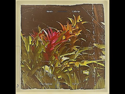 8 avril 2021 Marsh - Healer (Guy J Remix) [Anjunadeep]