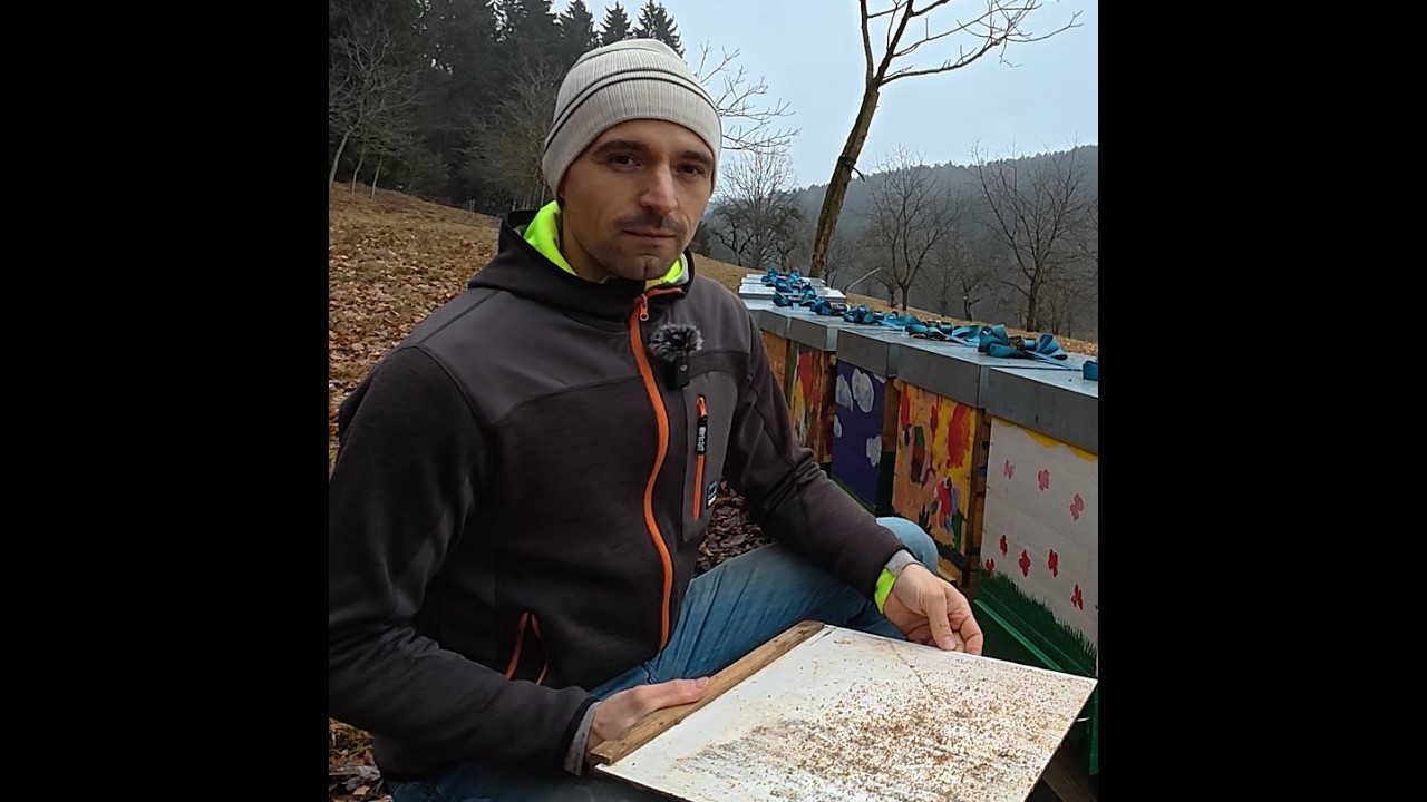 Restentmilbung mit Oxalsäure-träufeln