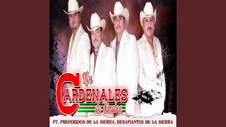 Los Arroyuelos