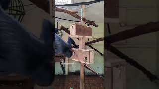 primate feeder, built during a team building event. #corporatesocialresponsibility #teambuilding