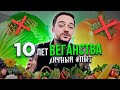 ВЕГЕТАРИАНСТВО за и против. Что произошло со мной после отказа от мяса?