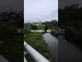 本日の綾瀬川。10/2-3