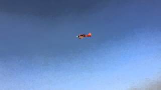 IMG 5432