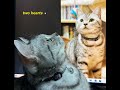 two hearts (instrumental) / 音松VP