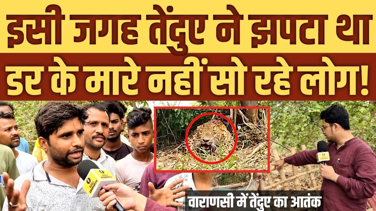 काशी में तेंदुए ने 4 लोगों को पहुंचा दिया अस्पताल। गांव के लोग 3 दिन से दहशत में