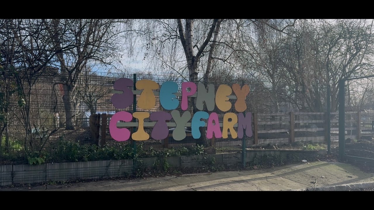 WATCH: Stepney city farm provides green space to Tower Hamlets