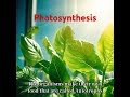 Photosynthesis